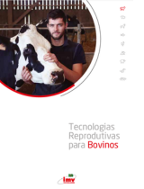 Catálogo Bovinos