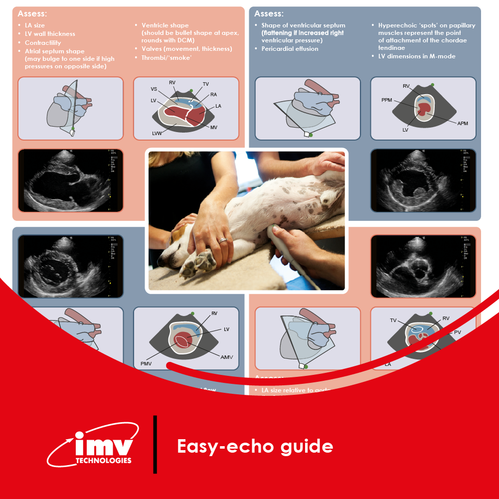 20251219 2476 Visuel PDF site v1 Visuel PDF 18