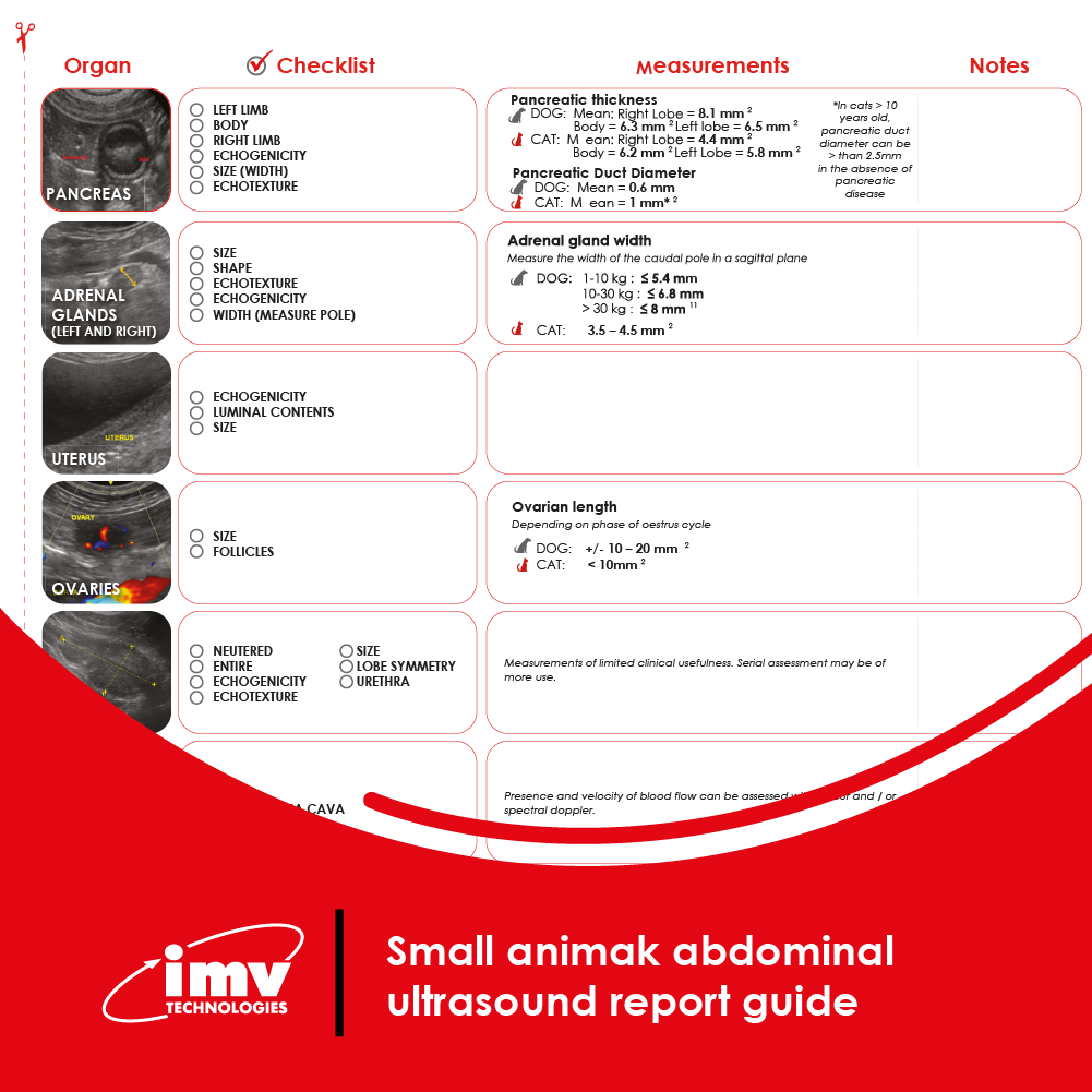 Free Download: Abdominal Ultrasound Report Guide