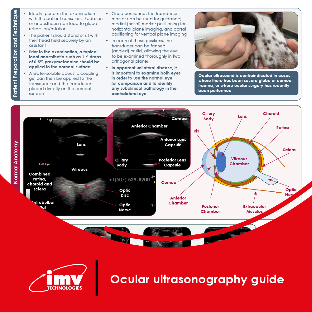 Free Download: Ocular Ultrasonography Guide
