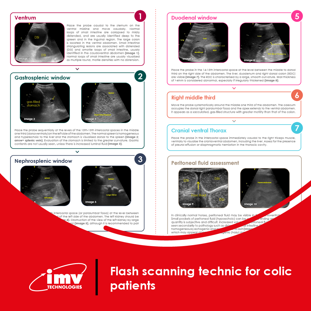 Free Download: FLASH scanning for colic poster