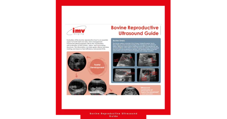Bovine Reproductive Ultrasound Guide 768x402