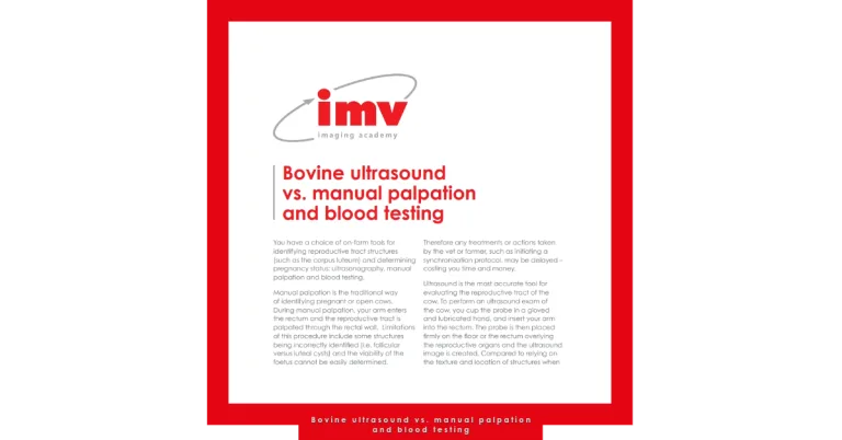Bovine ultrasound vs manual palpation and blood testing 768x402