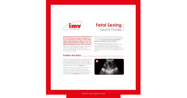 Fetal Sexing Guide 768x402