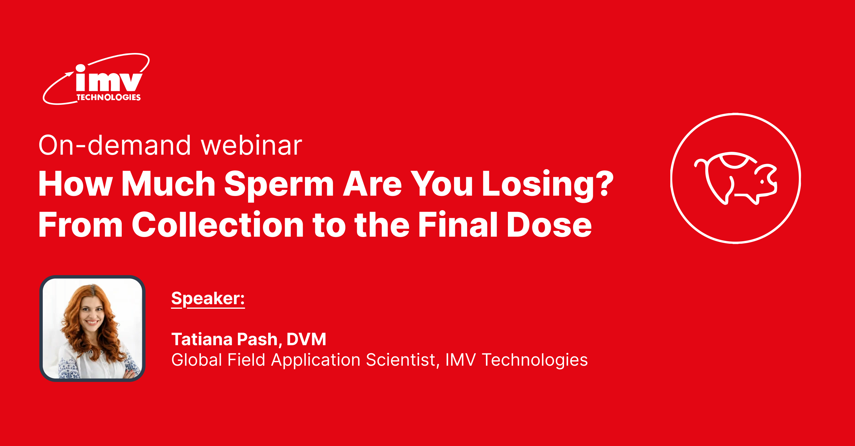 Webinar. Beat the Heat: Managing Summer Infertility in Boars