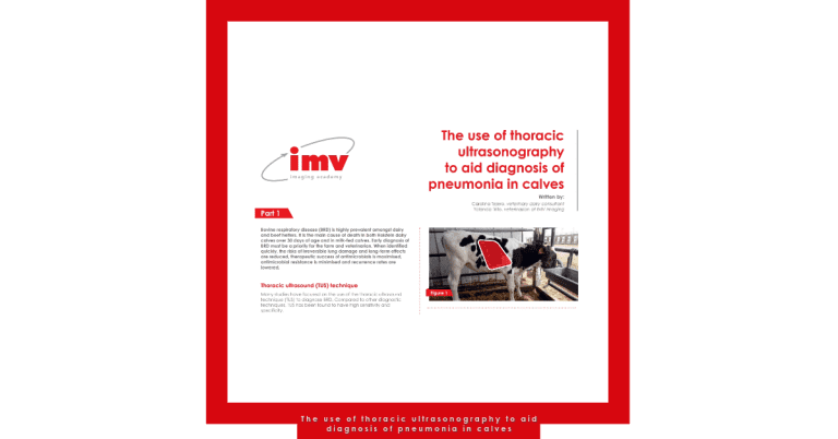 The use of thoracic ultrasonography to aid diagnosis of pneumonia in calves 768x402