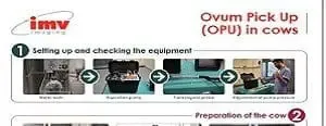 Ovum pick up snipping edited 2 min